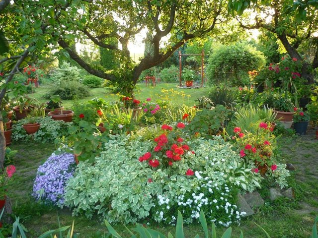 Pappné Farkucza Andrea kertje 01